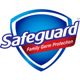 Safeguard Safeguard